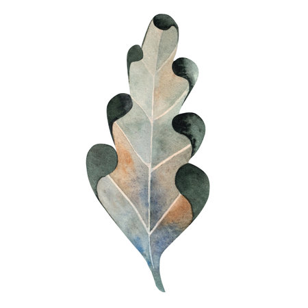 Watercolor illustration of a green oak leaf. Ideal for botanical themes, eco packaging, seasonal decor, nature projects, educational materials, cards, and rustic compositions.の写真素材