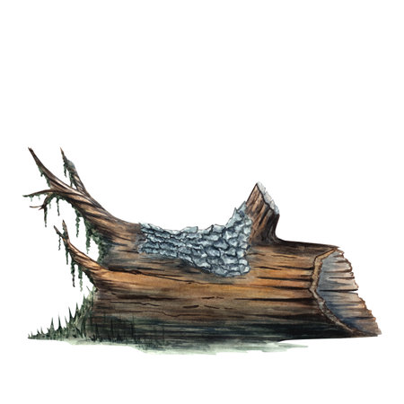 Watercolor illustration of an old tree stump with moss. Great for forest themes, rustic decor, eco designs, educational materials, fairy tales, and natural landscape projects.の写真素材