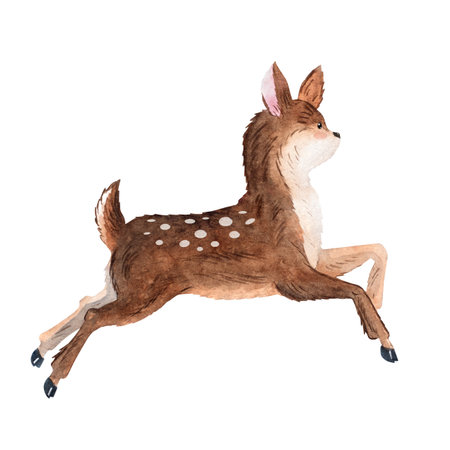 Watercolor jumping fawn, little deer illustration, ideal for nursery design, cards, patterns, storybooks, and childrens projectsの写真素材