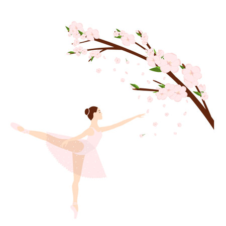 Cherry sakura blossom branch and ballerina, falling petals, tree. Flowers and petals. Pink asian vector art.のイラスト素材