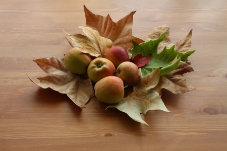 Autumn giftsの写真素材