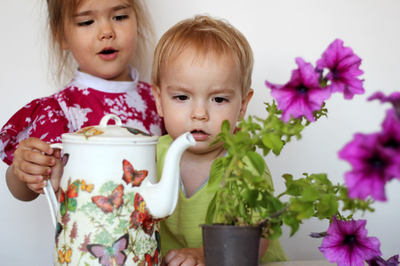 Pretty little girl helps her cute little boy to water flowers with crafted decoupage can over white background, focus on the boy, summer studio conceptの写真素材