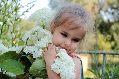 Beautiful blond little girl smelling big white flowers on the bush, outdoor portraitの写真素材