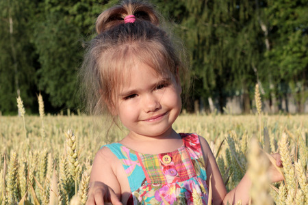 Adorable preschooler girl walking happily in wheat field on warm and sunny summer day, summer outdoorsの写真素材