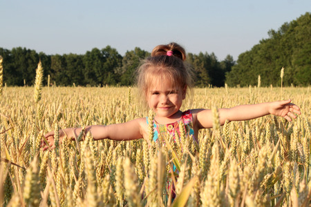 Adorable preschooler girl walking happily in wheat field on warm and sunny summer day, summer outdoorsの写真素材