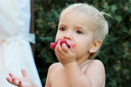Cute dirty toddler boy eating raspberries on his fingers, summertime outdoor, healthy food conceptの写真素材