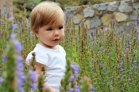 Little baby girl standing among beautiful violent flowers, summer portraitの写真素材