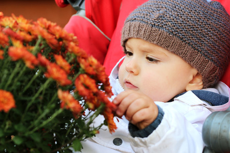Thoughtful baby in the knitted hat sitting in the stroller and touching the flowers, outdoor portraitの写真素材