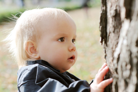 Handsome baby boy exploring the bark of tree, outdoor portraitの写真素材