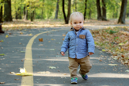 Handsome toddler walking forward along the road in the autumn parkの写真素材
