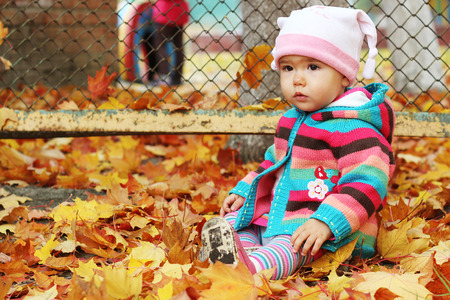 Outdoor autumn portrait of a cute baby in yellow leavesの写真素材