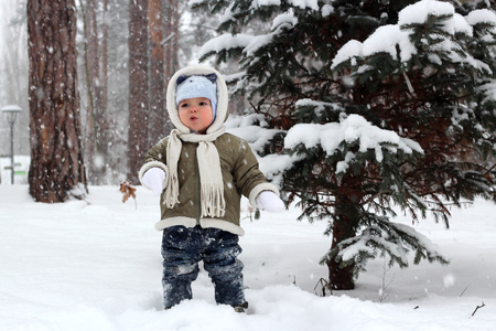 Toddler boy in warm coat and a hat with ears with skeptical face having a fun in the winter forest, family winter conceptの写真素材