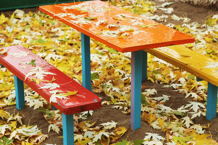 Colorful desk and benches are wet and empty, with drops and yellow maple leaves on them, fall outdoorの写真素材