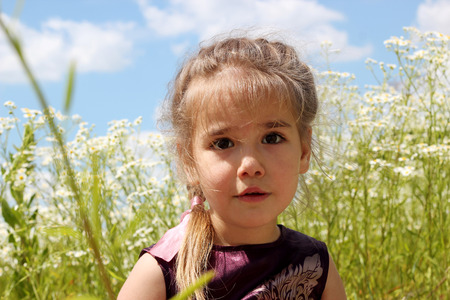 Cute funny little girl looking on camera over blue sky and chamomile field background, beauty and fashion, happy childhood, summer vacation, close-up outdoorの写真素材