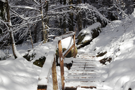 Beautiful winter landscape of Ukrainian Carpathian Mountains with white forest and old wooden stairs covered with snow, horizontal winter outdoor, no people, selective focusの写真素材