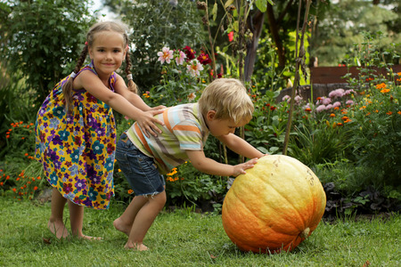 Two little children, boy and girl, sister and brother, rolling a huge orange pumpkin for Halloween decoration in the garden, funny summer outdoorの写真素材