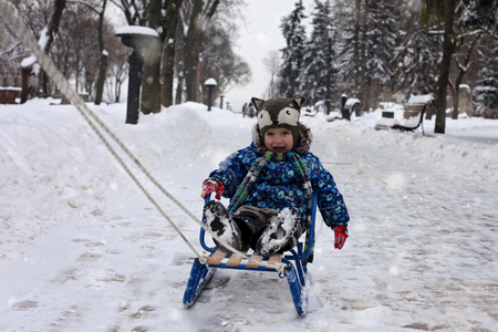 Happy toddler boy in warm coat and funny hat sitting on the sledge in the winter forest, outdoor portraitの写真素材