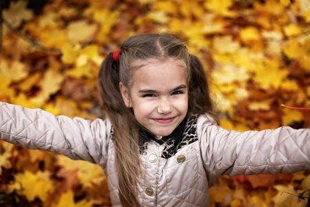 Cute little girl walking and gathering autumn leaves in the beautiful autumn forest, autumn outdoor, warm family weekend conceptの写真素材