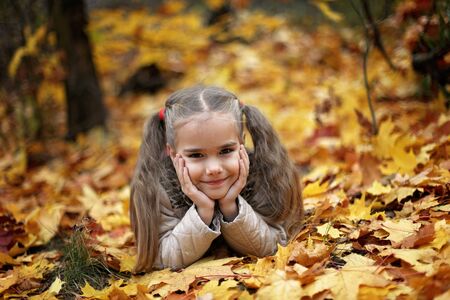 Cute little girl walking and gathering autumn leaves in the beautiful autumn forest, autumn outdoor, warm family weekend conceptの写真素材