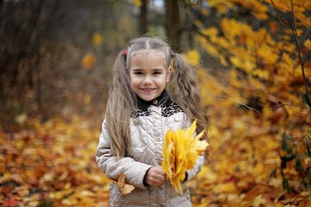 Cute little girl walking and gathering autumn leaves in the beautiful autumn forest, autumn outdoor, warm family weekend conceptの写真素材