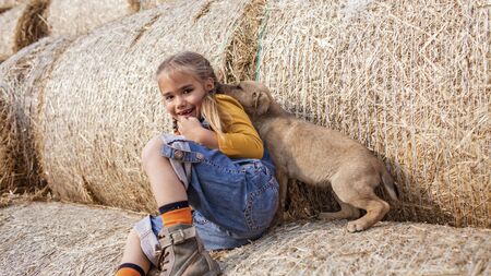Happy cute 7-8 years old girl in trendy jeans overall and orange t-shirt playing with baby puppy on rolls of hay bales in field, summertime in countryside, childhood and dreams, outdoor lifestyleの写真素材