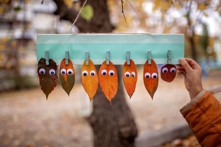 Seven autumn leaves with toy eyes from green to red on the clothespin over beautiful fall background, funny autumnal time concept, outdoorの写真素材