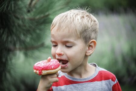 Happy 4-5 years old preschool boy eating a bright pink round donut on the meadow, happy summertime, junk food and dessert concept, summer birthday party outside, diet and healthy lifestyleの写真素材