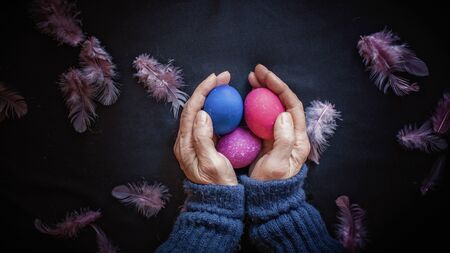 Alternative Easter composition in dark style with classic blue and pink color eggs, feather and hands of senior woman over black background, spring season holidays conceptの写真素材