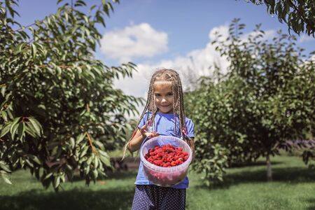 Adorable cute girl in blue t-shirts holding a full bucket of fresh raspberry just from the green...