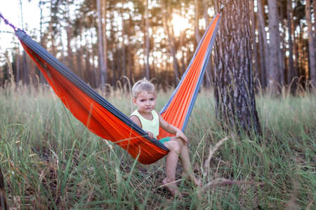 Cute 5 years boy having rest in hammock in the wild forest during local vacation, family summer weekend, social distance lifestyleの写真素材