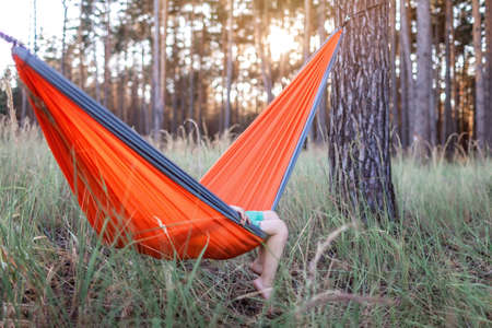 Cute 5 years boy having rest in hammock in the wild forest during local vacation, family summer weekend, social distance lifestyleの写真素材