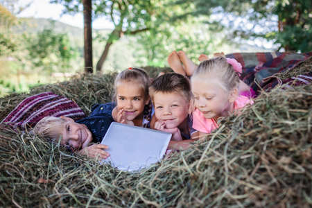 Local vacation and happy summertime. Group of friends having fun and watching video with laptop on...
