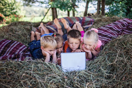 Local vacation and happy summertime. Group of friends having fun and watching video with laptop on the hayloft at the farm, summer outdoor lifestyleの写真素材