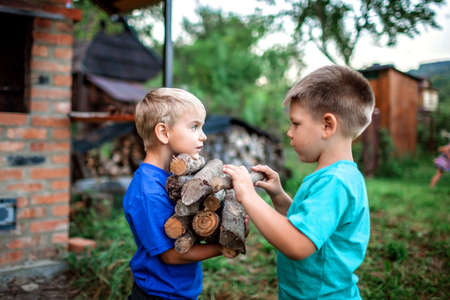 Alternative fuel for heating and fireplace. Two handsome boys holding stock of wooden log and talking about their man business, happy summertime, outdoor lifestyleの写真素材