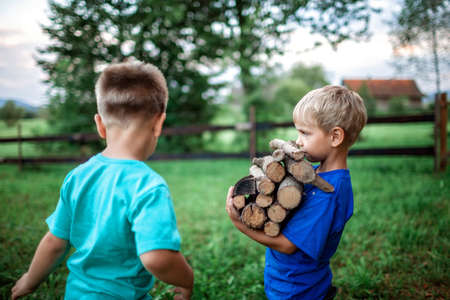 Alternative fuel for heating and fireplace. Two handsome boys holding stock of wooden log and talking about their man business, happy summertime, outdoor lifestyleの写真素材
