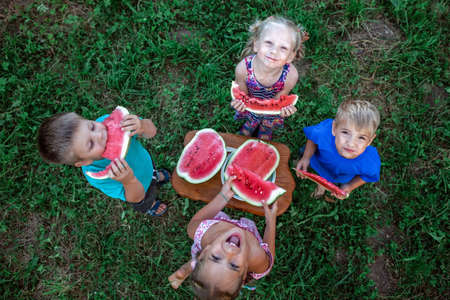Healthy summer food. Group of kids eating watermelon together in the backyard of farmhouse, happy summertime, countryside, outdoor lifestyleの写真素材