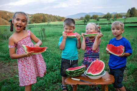 Healthy summer food. Group of kids eating watermelon together in the backyard of farmhouse, happy summertime, countryside, outdoor lifestyleの写真素材