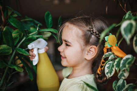 Cute girl helping to care for home plants on the window, plant parents concept, home gardening, green environment at homeの写真素材