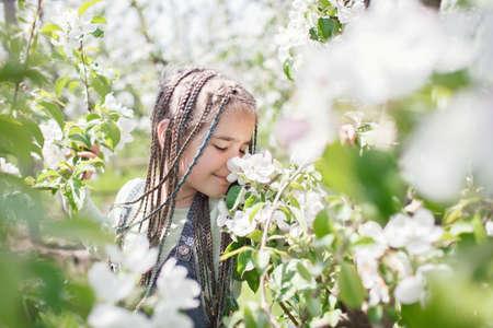 Pretty preteen girl walking in the blooming apple garden in spring, relax and freedom, beauty of nature. Happy kid enjoying flower blossom in fruit orchard at sunny day. Spring outdoorの写真素材