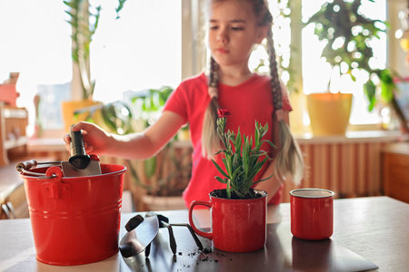 Preteen girl helping to care for home plants and replanting green blooming flowers into red mug, plant parents concept, home floral decor, potted green plants at homeの写真素材