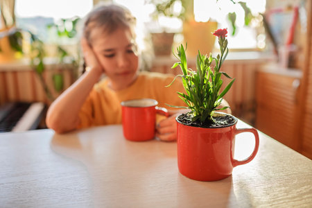 Preteen girl drinking coffee and enjoying green blooming flower replanted in usual red mug, home floral decor, home gardening and slow living concept, potted green plants at homeの写真素材