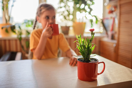 Preteen girl drinking coffee and enjoying green blooming flower replanted in usual red mug, home floral decor, home gardening and slow living concept, potted green plants at homeの写真素材
