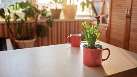 A cup with coffee and a mug with green blooming flower on the windowsill in the morning, home floral decor, home gardening and slow living concept, potted green plants at homeの写真素材