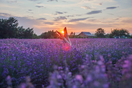 Teenage girl enjoys the scenery of lavender field. Dreamy teenager lays among purple flowers. Legs in sunset light. Calm landscape, escape to beauty of nature, summer lifestyleの写真素材