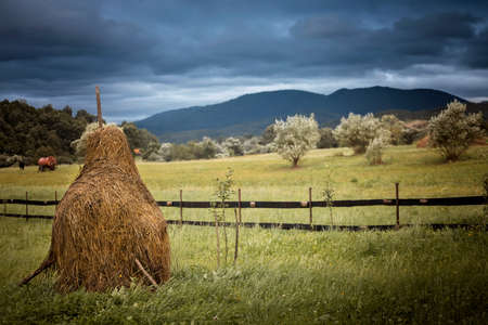 Overcast grey sky before rain in the mountains, haystack on the meadow, dark clouds before storm, epic wild nature background, summer outdoor landscapeの写真素材
