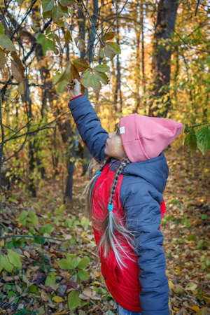 Pensive preteen girl standing alone in beautiful fall forest among golden leaves. Calm and deep in thoughts. Beauty in nature, outdoor, fall vibes, active family lifestyleの写真素材