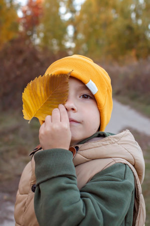 Mischievous little boy in yellow hat covering one eye with yellow leaf during autumn family walk. Warm weather and warm stories, outdoor lifestyle, active family lifestyleの写真素材