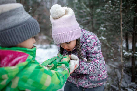 The older sister breathes on the frozen hands of her brother to warm them during family walking in forest on snowing day, winter wonderland, outdoor lifestyle, true moment, real peopleの写真素材