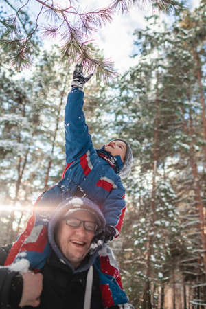Happy single dad carries his little son on shoulders so that he can reach the branch and shake snow off the tree, active weekend, seasonal outdoor activities, family lifestyle, true momentの写真素材