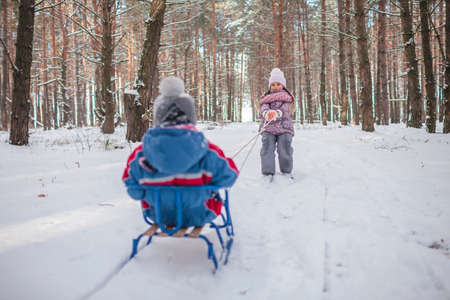 Happy friends have fun in wonderland, little girl pulls a sledge with sister and brother across...